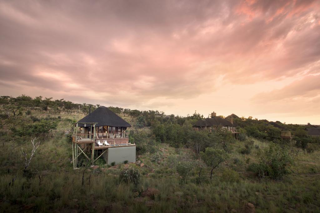 Mhondoro Safari Lodge & Villa Welgevonden Game Reserve Bagian luar foto
